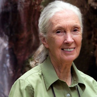 Jane Goodall- Miniatura postaci przy cytacie